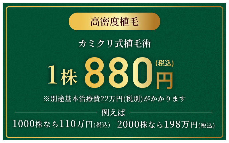 カミクリ式植毛術1株880円！※別途基本治療費がかかります。例えば、1000株なら110万円(税込) 、2000株なら198万円(税込) 