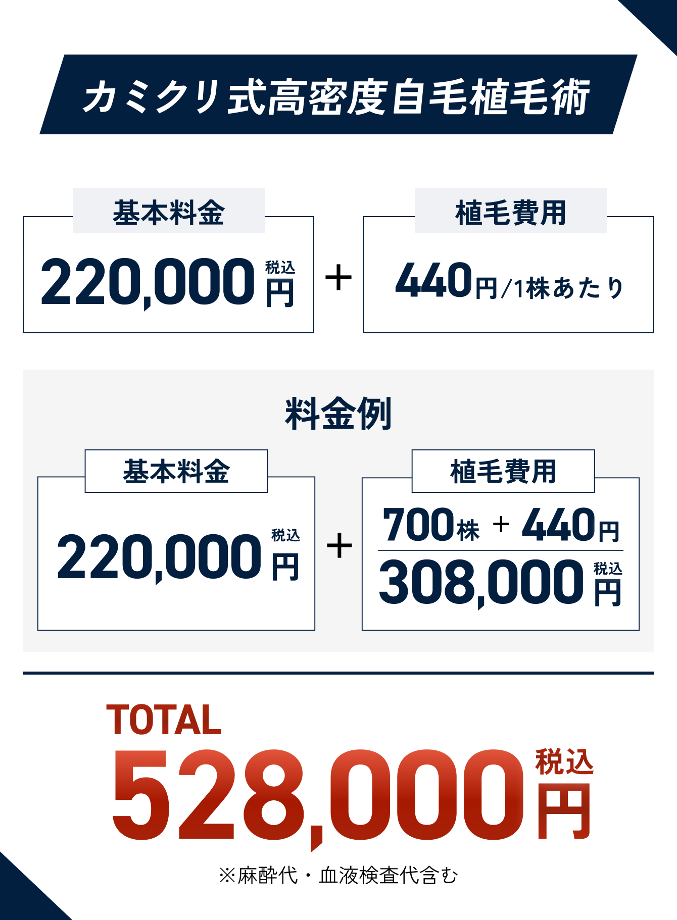 カミクリ式高密度自毛植毛術の費用イメージ