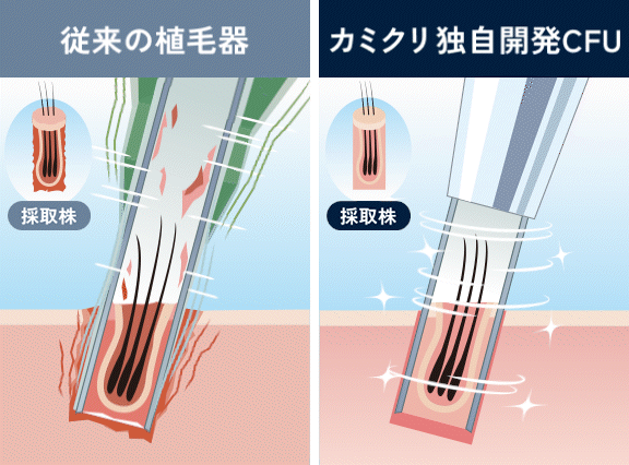 イラスト画像