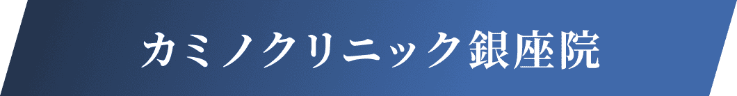 カミノクリニック銀座院