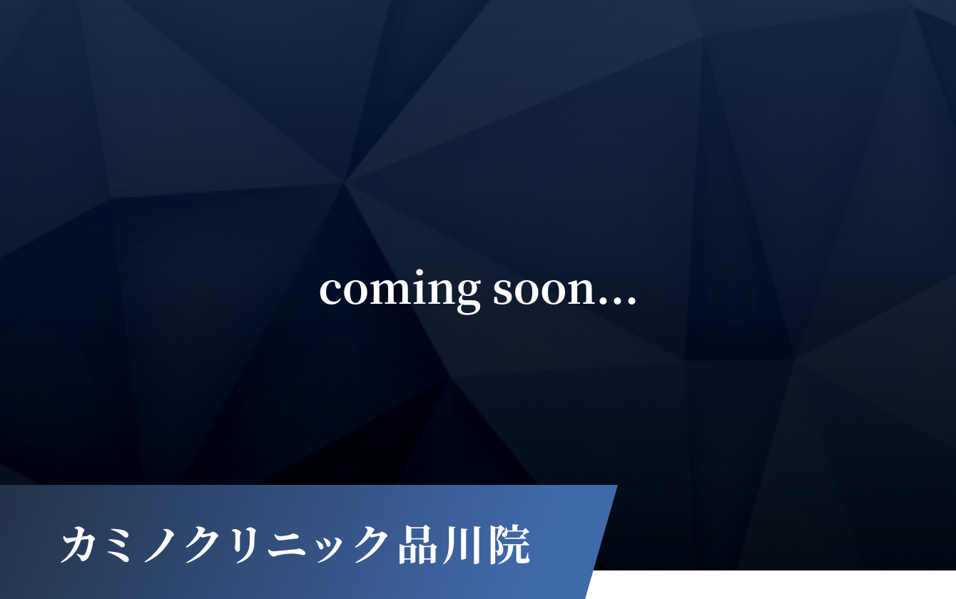 カミノクリニック品川院