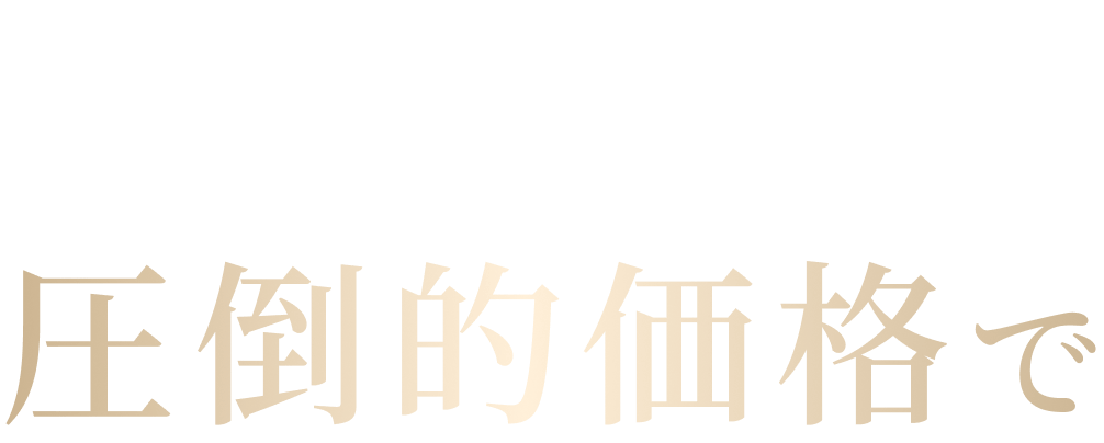 高密度でボリューム感ある自然な仕上がりを、圧倒的価格で