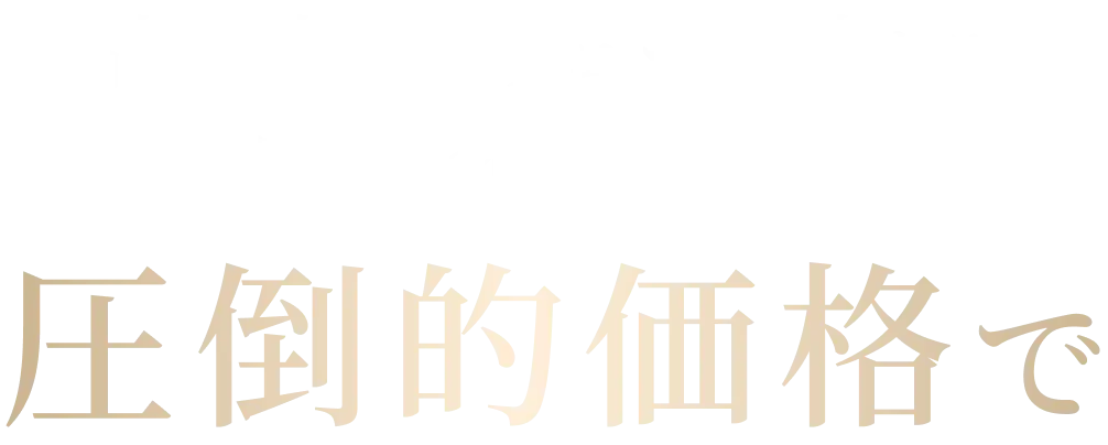 高密度でボリューム感ある自然な仕上がりを、圧倒的価格で